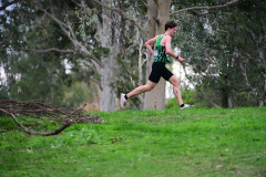 TIM_0131