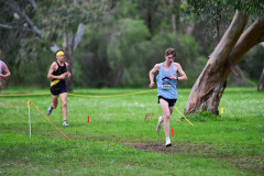 TIM_0279