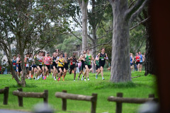 Victoria Cross Country Championships 2026 - Open Men