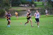 TIM_9575