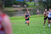 TIM_9580