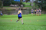 TIM_9583