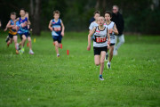 TIM_3116