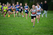 TIM_3117