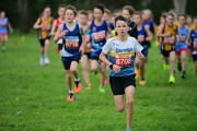 TIM_3146
