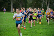 TIM_3150