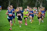 TIM_3156