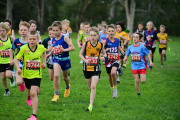 TIM_3164
