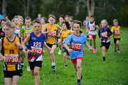 TIM_3172