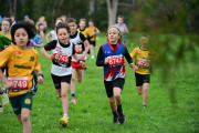 TIM_3178