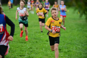 TIM_3182