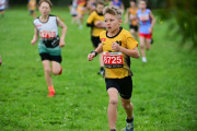 TIM_3184