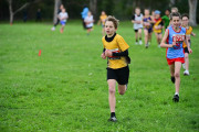 TIM_3186