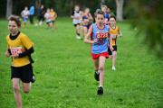 TIM_3188