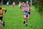 TIM_3190