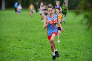 TIM_3193