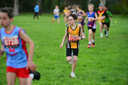 TIM_3194