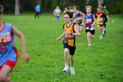 TIM_3195