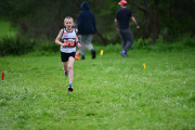 TIM_3229