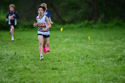 TIM_3260