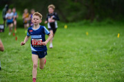 TIM_3269