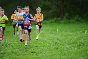 TIM_3282