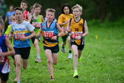 TIM_3297