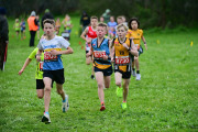TIM_3305