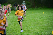 TIM_3308