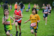 TIM_3311
