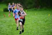 TIM_3325