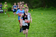 TIM_3327