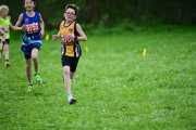 TIM_3343