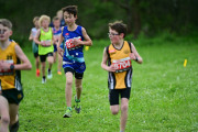 TIM_3349