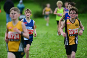 TIM_3353