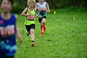 TIM_3357