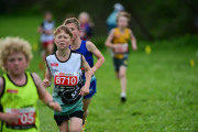 TIM_3367