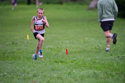 TIM_3399