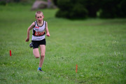 TIM_3403
