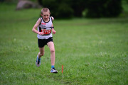 TIM_3407