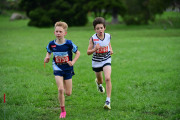 TIM_3442