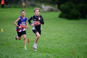 TIM_3447