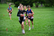 TIM_3460