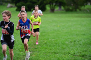TIM_3464