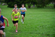 TIM_3467