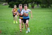 TIM_3475