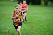 TIM_3484