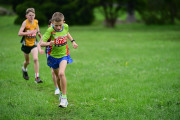 TIM_3531