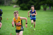 TIM_3545