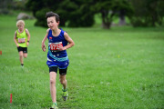 TIM_3553